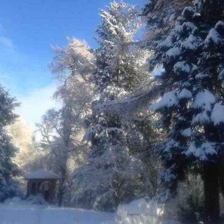 The Beeches Studio, Highlands Of Scotland นิวตันมอร์ ภายนอก รูปภาพ