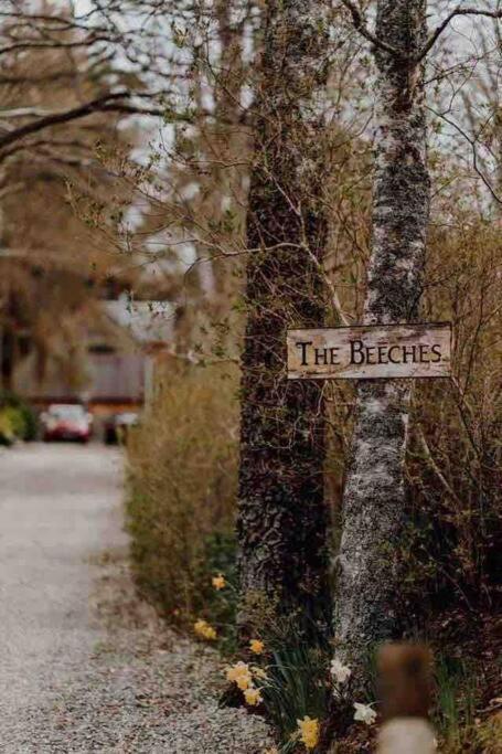 The Beeches Studio, Highlands Of Scotland นิวตันมอร์ ภายนอก รูปภาพ