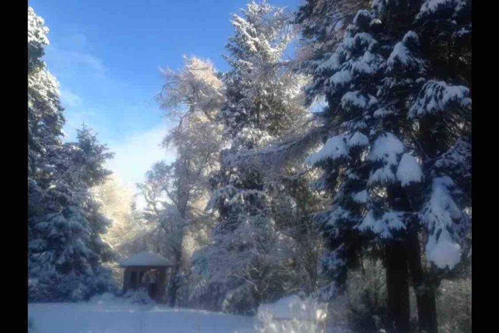 The Beeches Studio, Highlands Of Scotland นิวตันมอร์ ภายนอก รูปภาพ