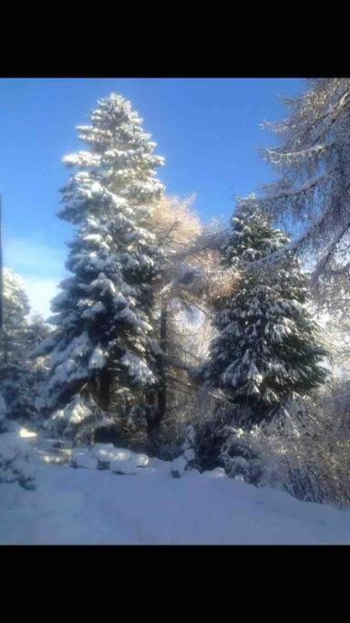 The Beeches Studio, Highlands Of Scotland นิวตันมอร์ ภายนอก รูปภาพ